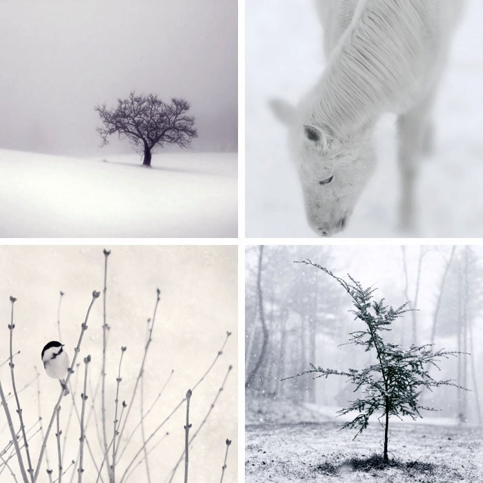 8x8 Winter Art Prints, Holiday Home Decor, Minimalist Photography, Winter Decor, Snowy Winter Photo Set, Holiday Wall Art, Peaceful Art Set