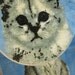 Kitty kitten Cat Toilet Seat cover with rug amazing deadstock NOS 1992 1990 kitsch geekery blue meow