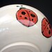 SALE ITEM - Lady Bug Bowl