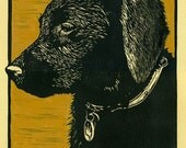 Black Labrador Retriever Print