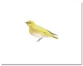 Bird in Yellow--8"X10" Fine Art Print