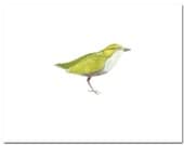 Bird in Green--8"X10" Fine Art Print