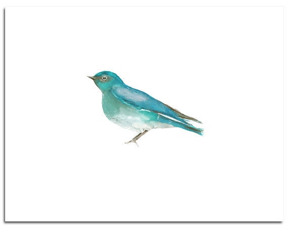 Bird in Turquoise--8"X10" Fine Art Print