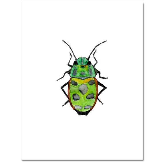 Green Beetle-8"X10" Fine Art Print