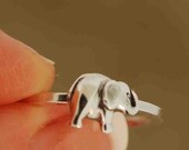Elephant Crossing