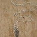 Angel Heart Wings Lariot