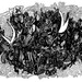 Y and B 8x10 Abstract Fine Art Archival Print of Original Pen and Ink Drawing
