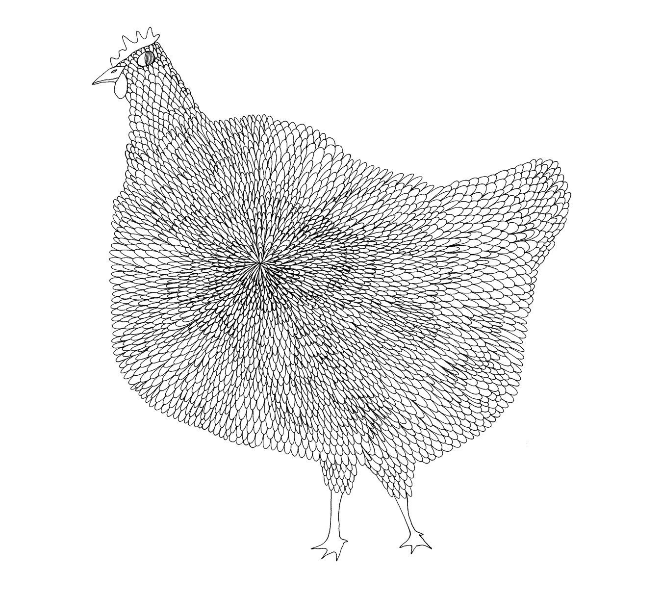 The Chicken 8x10 Fine Art Archival Print of Original Pen and Ink Drawing