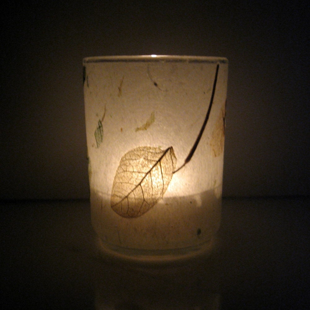 Scattered Raintree Leaves Earth Light
