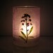 Purple Alyssum Earth Light