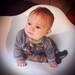 Fox print baby sweatshirt heather grey