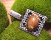 Golden Beetle Clip