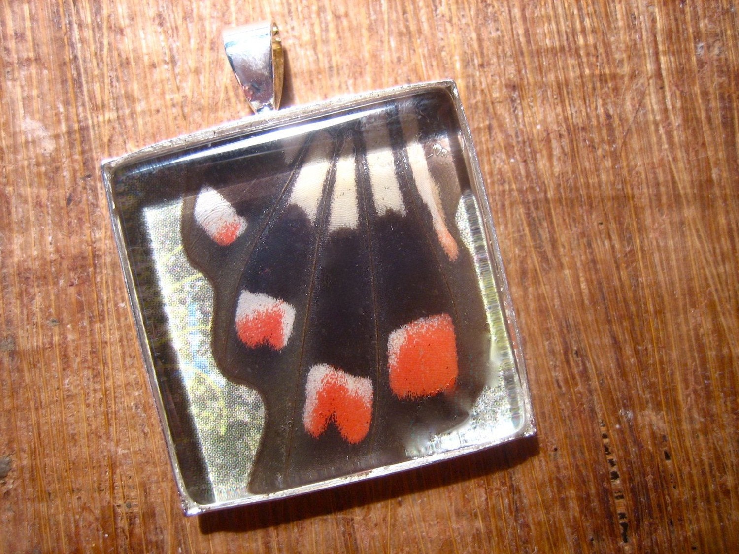 SALE Real Butterfly Wing Pendant