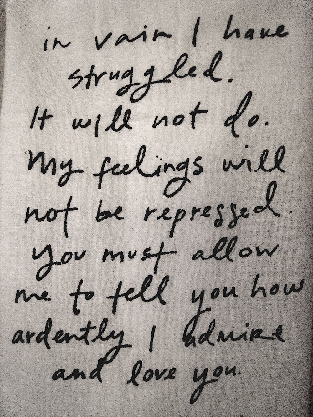 Mr. Darcy Proposal Dish Towel