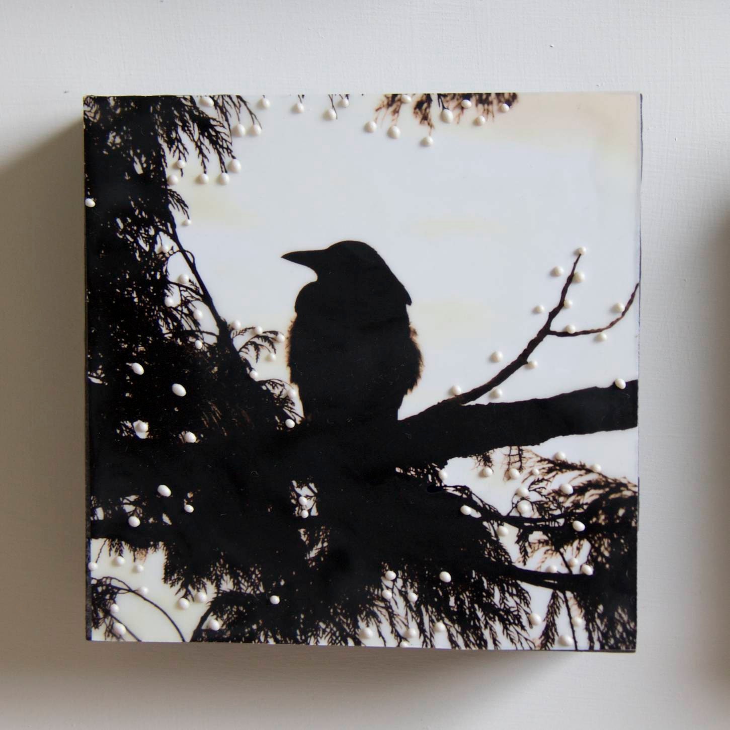 Westcoast Blackbird II Original Encaustic Art Silver Tofino Series 1 of 6 available
