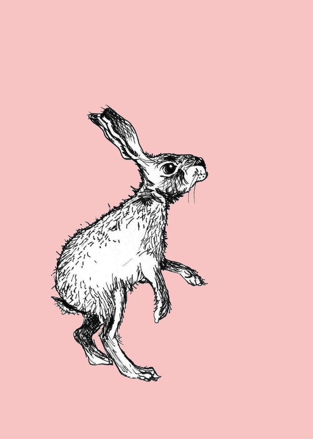 Pink Rabbit Print - "The Curious Bunny"