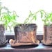 Windowsill Planter Deep Stoneware Bag in Blue Green