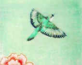 Flying Swallow Giclee Print -Mint Green -Modern Asian Art