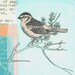 Cyber Monday Sale Etsy - Limited Edition Collage Bird art Print - Sparrow number 27/30