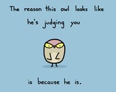 Judgy Owl Art Print