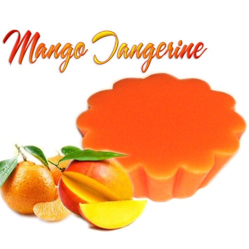 4 Mango Tangerine Tarts Wickless Candle Melts Tropical Fruit Scent