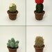 Cactus Collections, eight realistic PDF CROCHET PATTERNS