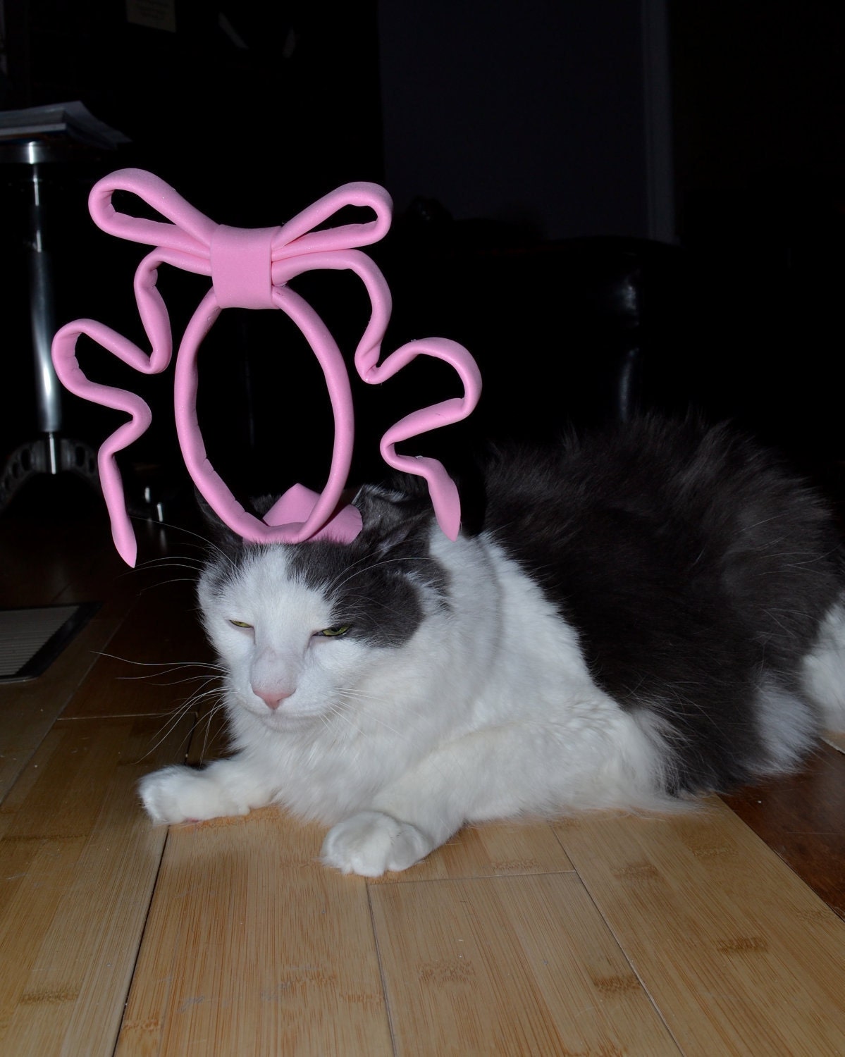 Princess Beatrice Cat Fascinator / Royal Kitty Hat