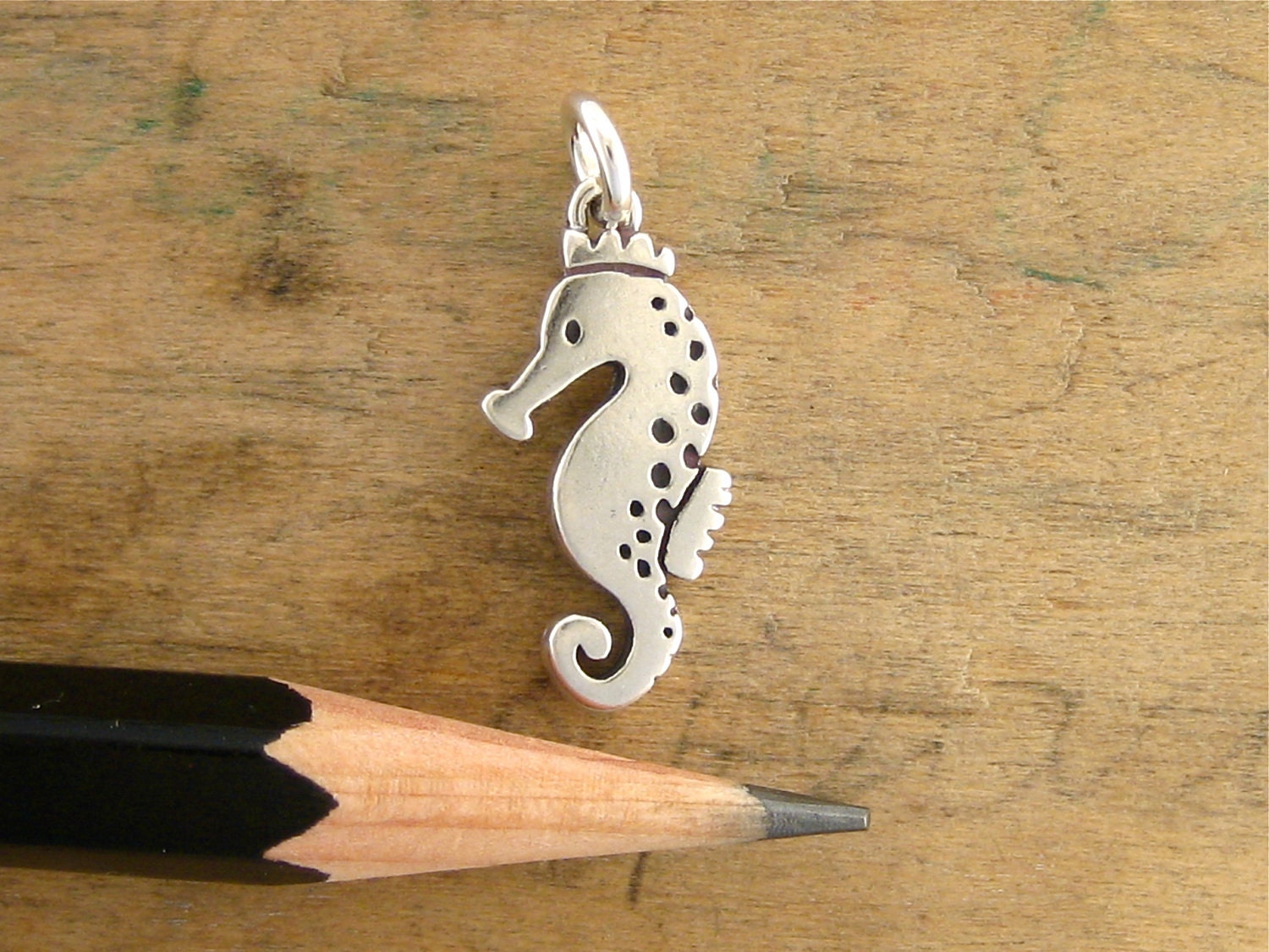 Tiny Little Seahorse