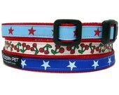 Big Sky Country Toy and Puppy Dog Collar