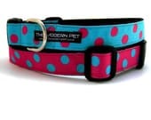 Dog Collar Full Size (Pattern - Bubblegum, Colors - Pink, Blue)
