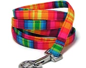 Pet Dog Cat Leash - Happy Rainbow Stripes  - 3/8" wide xs 6 Feet Long