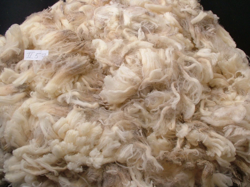 Freshly sheared very soft white pure Merino raw wool spinning felting fleece fiber