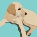 yellow lab bookplates