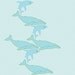 sealife noteset