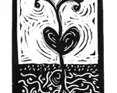 Seedling