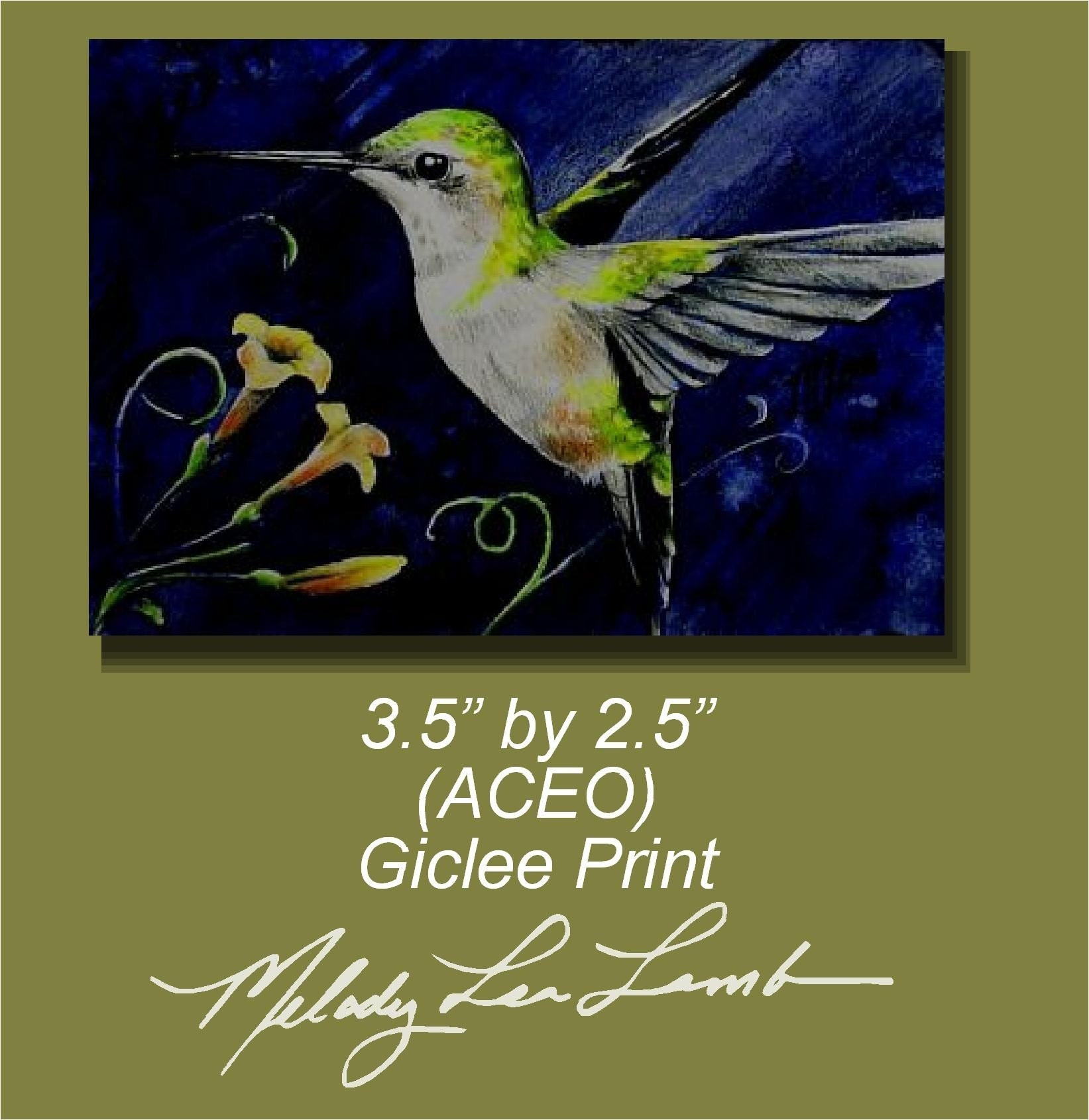 Humming Bird Art  by Melody Lea Lamb ACEO Print