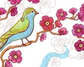 cherry blossoms