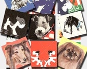 vintage dog illustrations 1 x 1 inch digital collage sheet no. 52