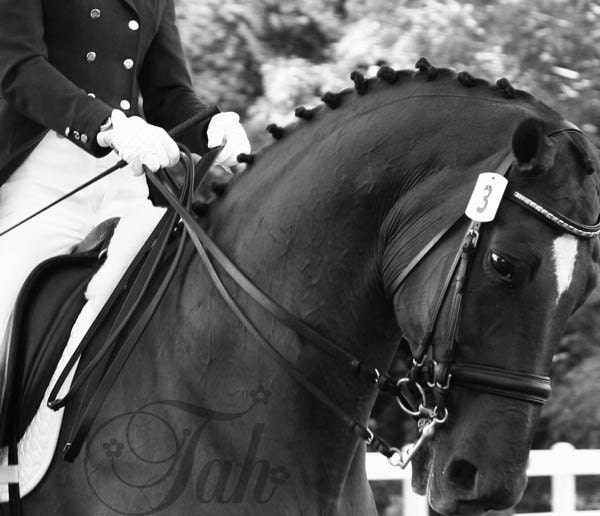 In The Winning-Fine Art Print-8 by 10-Black White