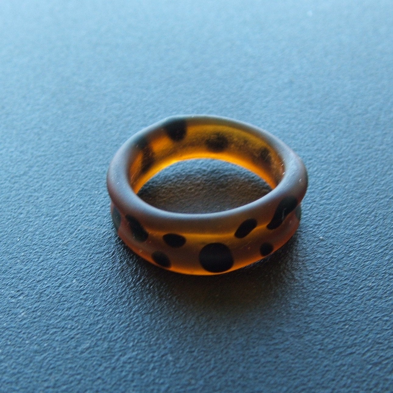 Tortoiseshell - 7