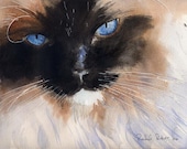 Ragdoll Siamese Cat Art Print of my Watercolor Ragdoll