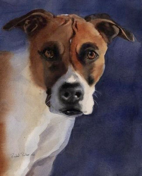 Boxer dog art Print of my watercolor painting                  Boxer Portrait