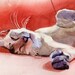 Oriental Lynx Tabby Siamese Cat Art Print of my watercolor painting Next Act