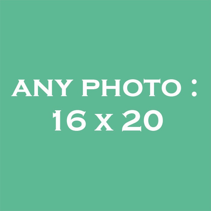 Any Photograph: Size 16" x 20".