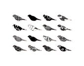 Monochromatic patterned birds