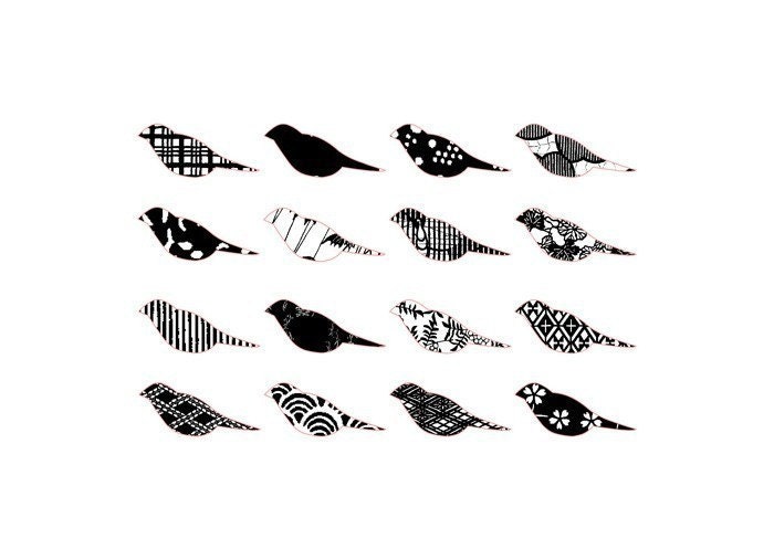 Monochromatic patterned birds