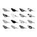Monochromatic patterned birds