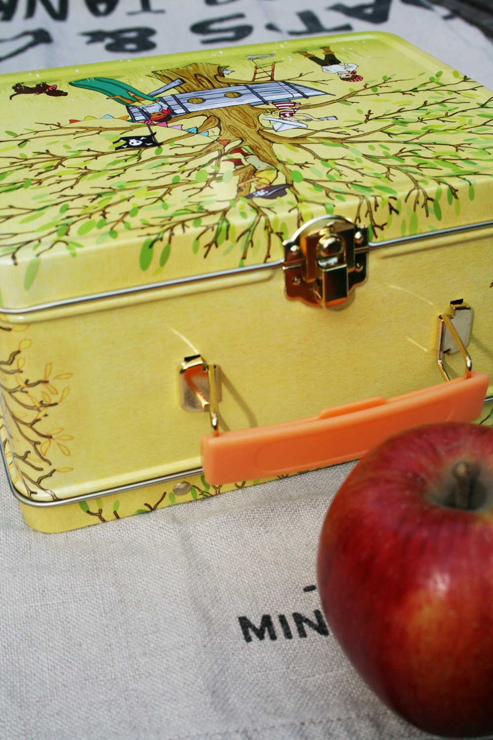 Pirate Party Lunch Box