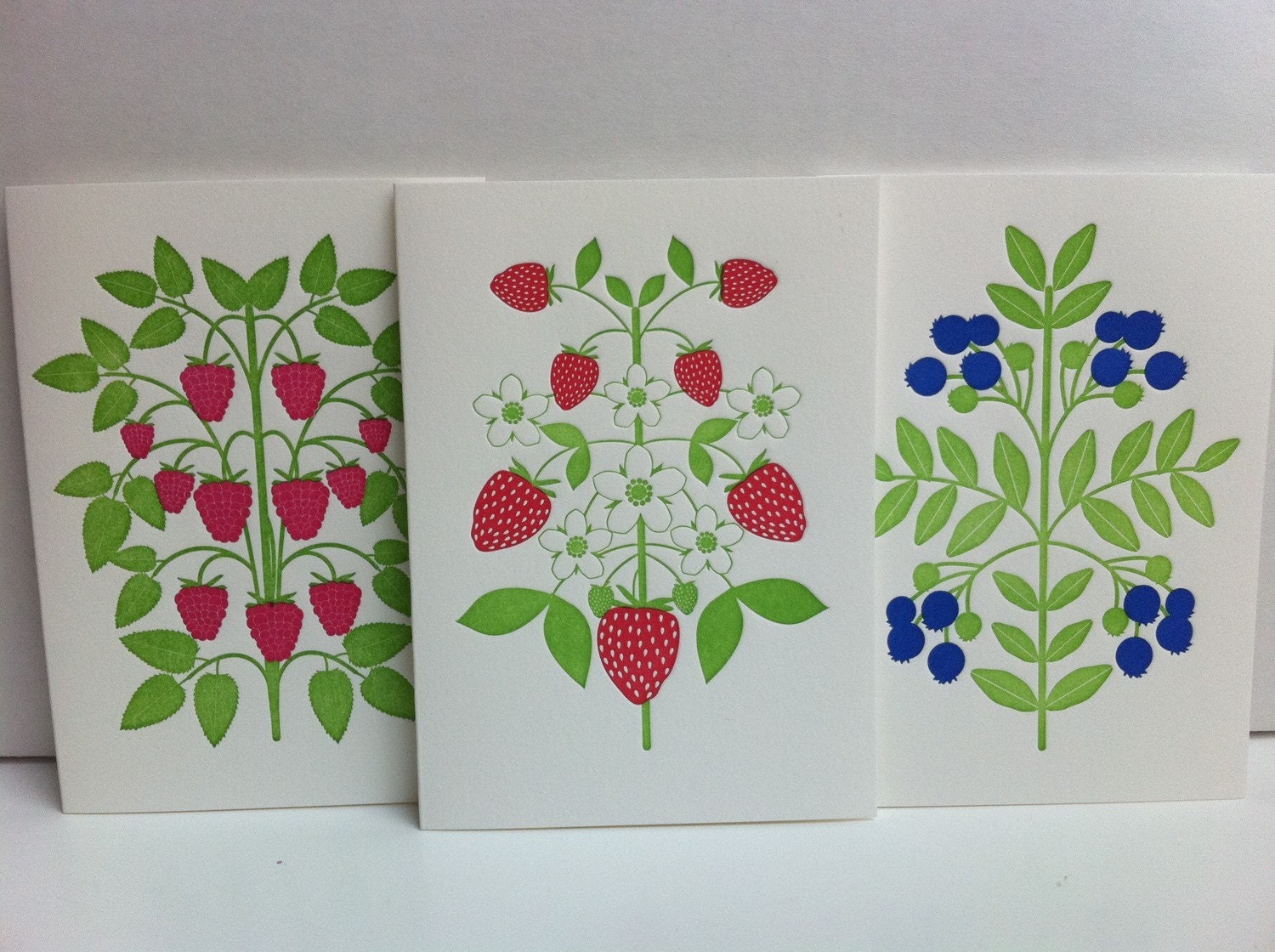 berries note set (multi set of 6)