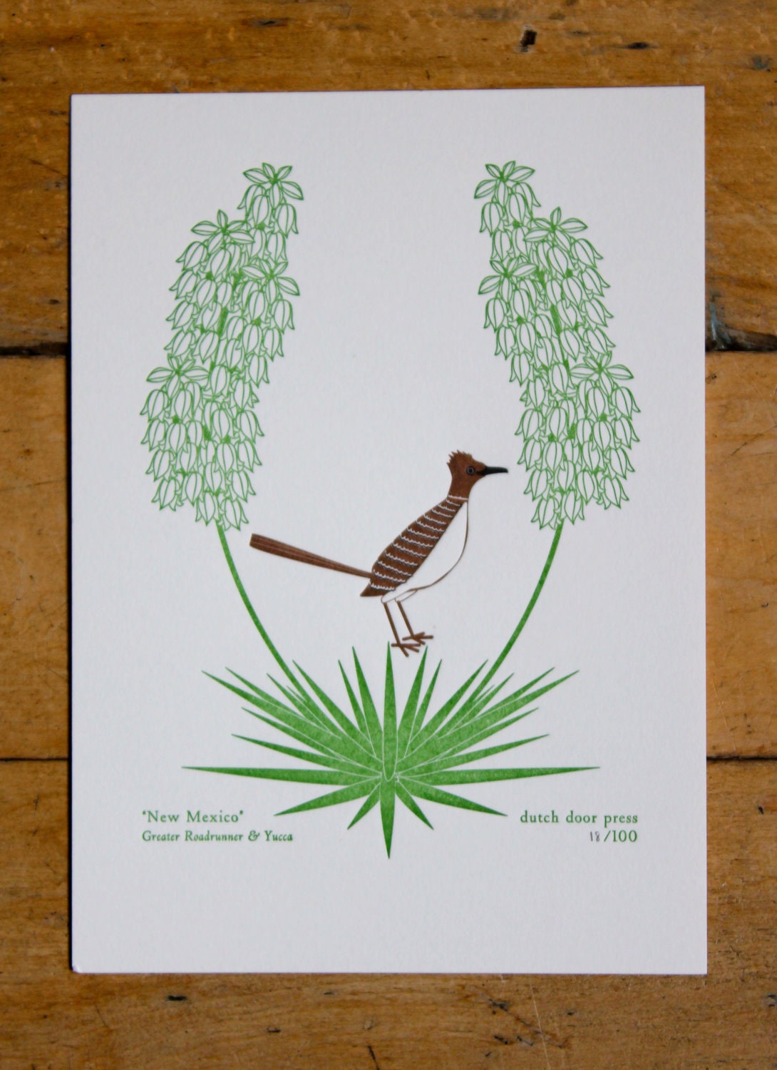 new mexico (from birds and blooms of the 50 states)